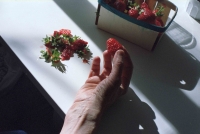 http://www.virguleflottante.com/files/gimgs/th-63_LesFraises (24).jpg